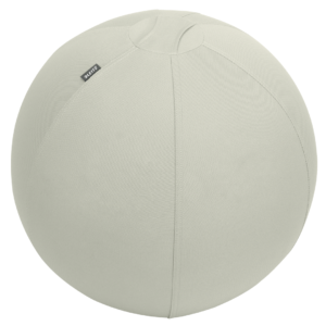 Leitz Ergo Sittboll med stopp Lgrå 55cm