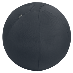 Sitting Ball Ergo 55cm anti-roll-away dark grey
