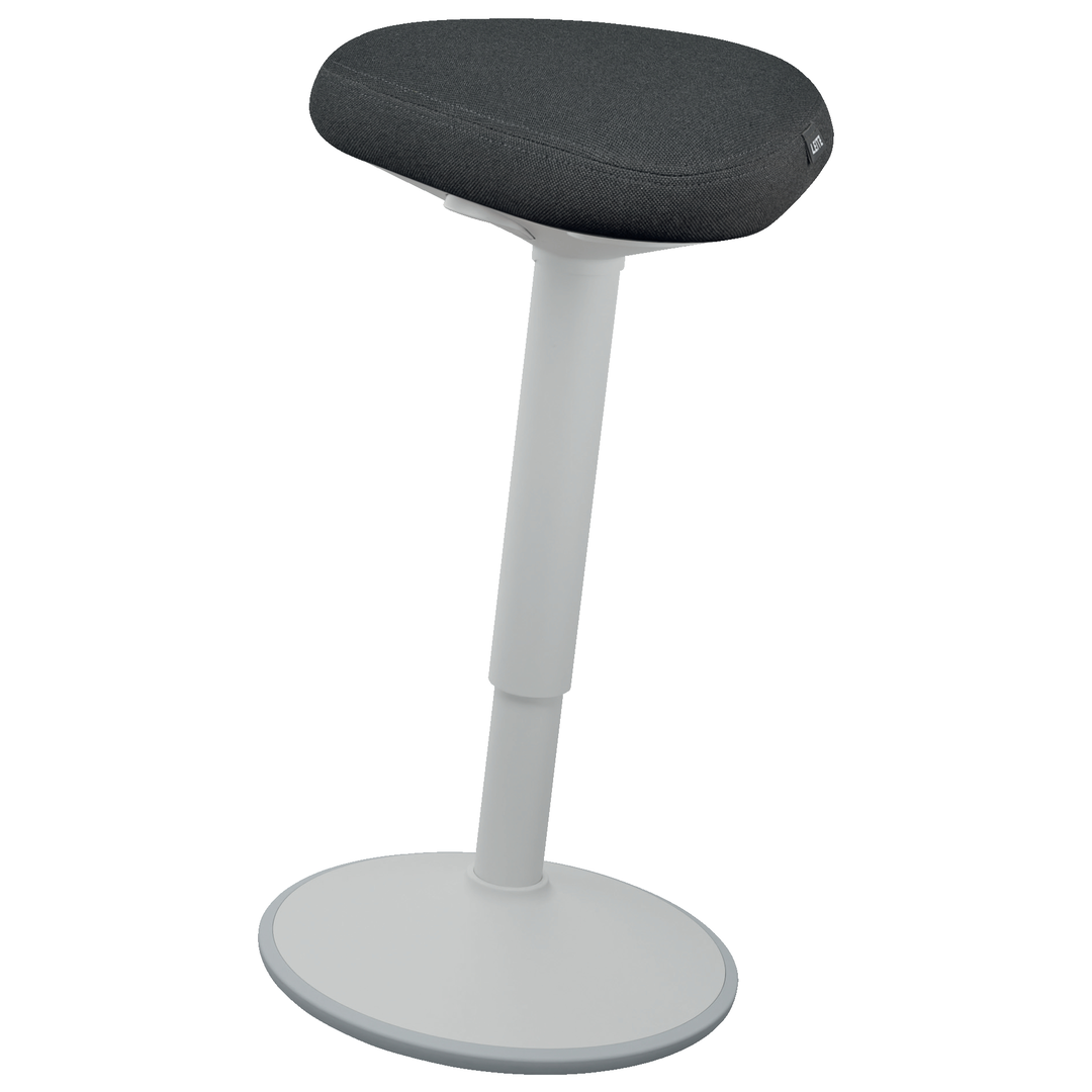 Leitz Ergo Ståpall ljusgrå - Bild 2