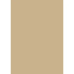 Kartong 50x70 300g Chamois