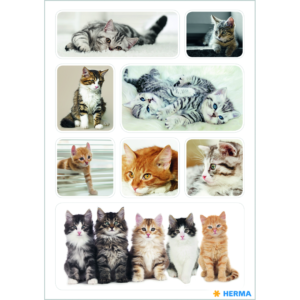Herma stickers Decor cats children (3)