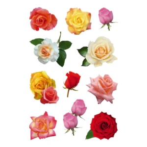 Herma stickers Decor rosor (3)