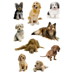 Herma stickers Decor hundar (3)