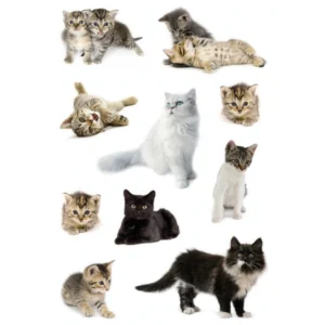 Herma stickers Decor katter (3)