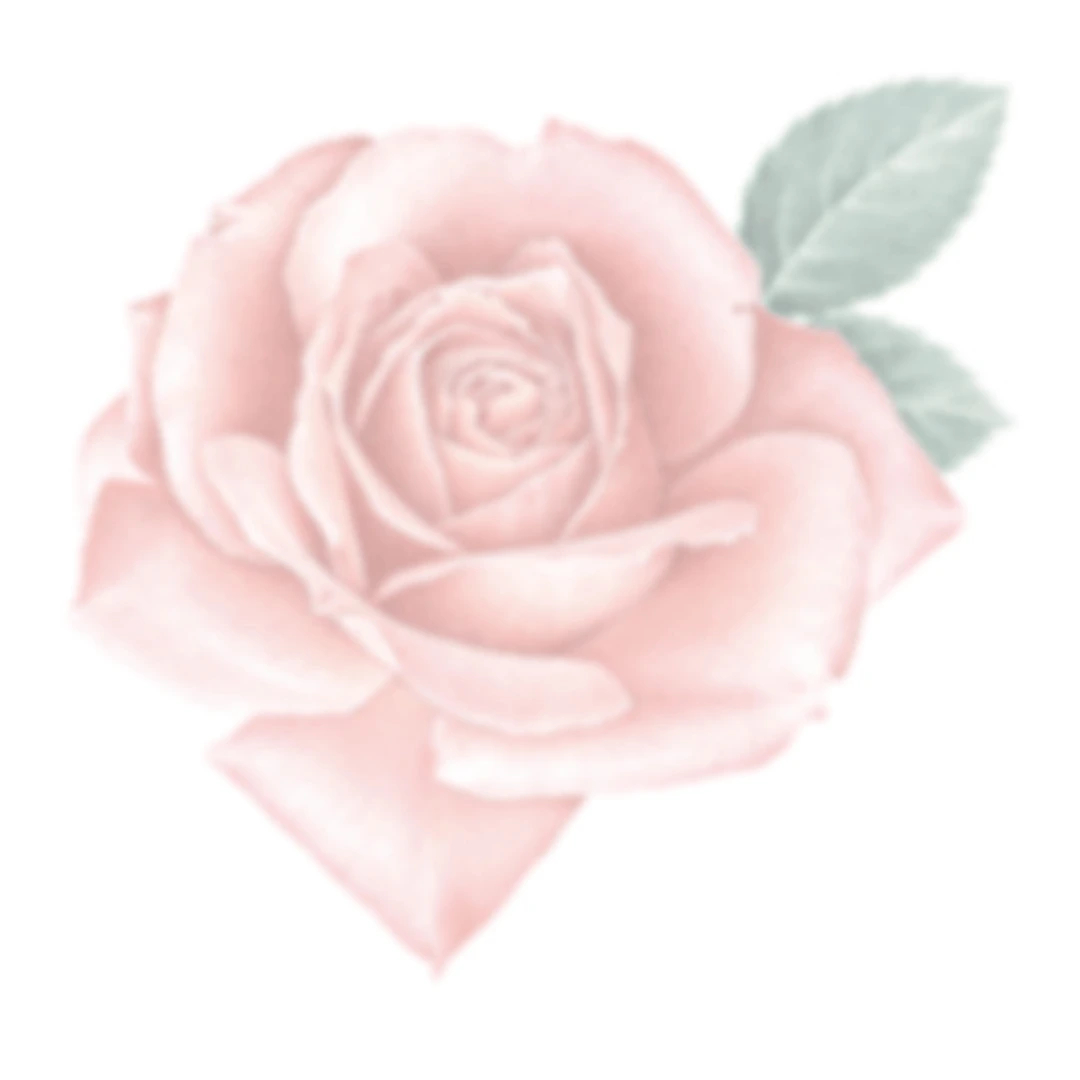 Tombow pencil Irojiten apricot - Bild 3